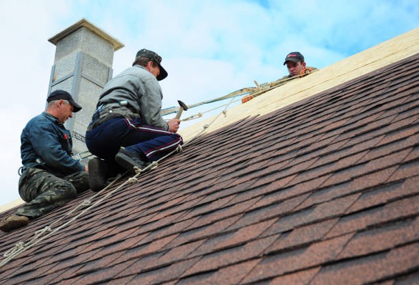 Professional Roofing Contractor in Clio, AL